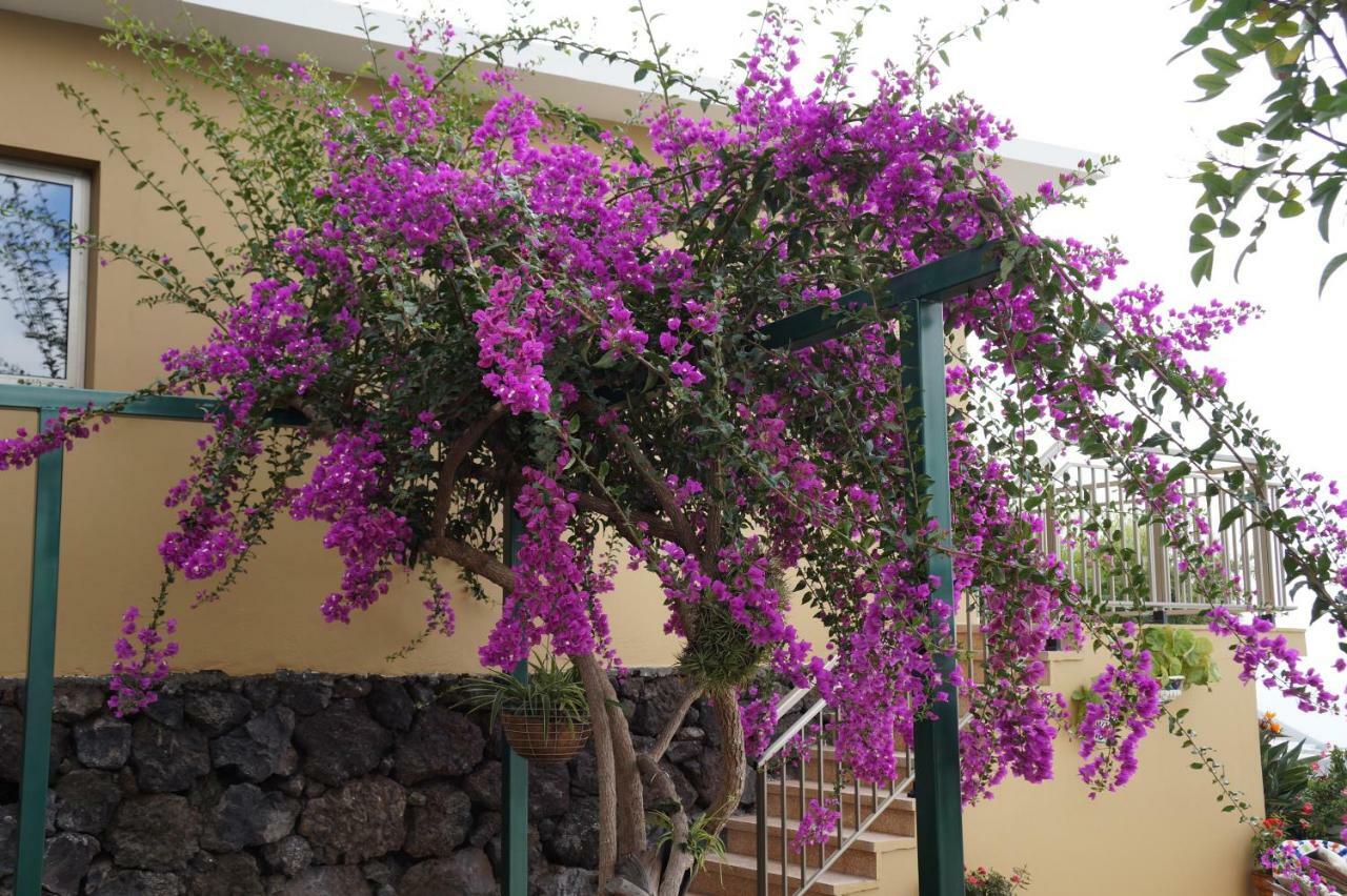 Villa Casa Aloe El Paso Exterior foto